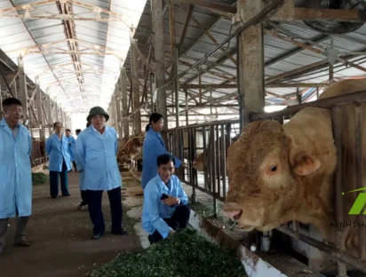 Nông trại cần máy phát điện công suất bao nhiêu