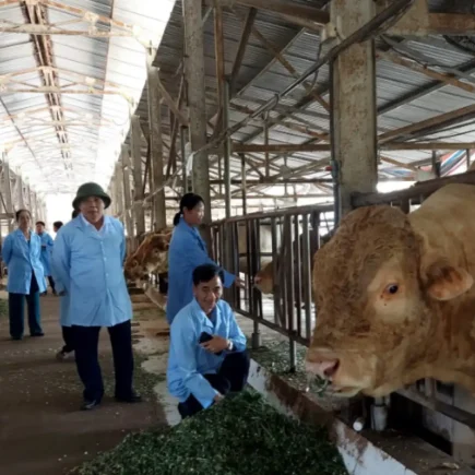 Nông trại cần máy phát điện công suất bao nhiêu