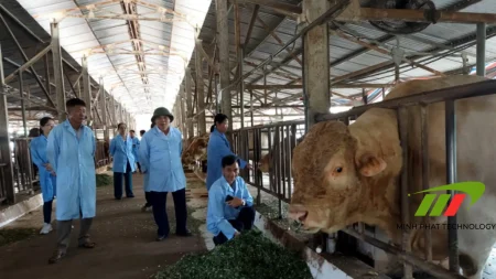 Nông trại cần máy phát điện công suất bao nhiêu